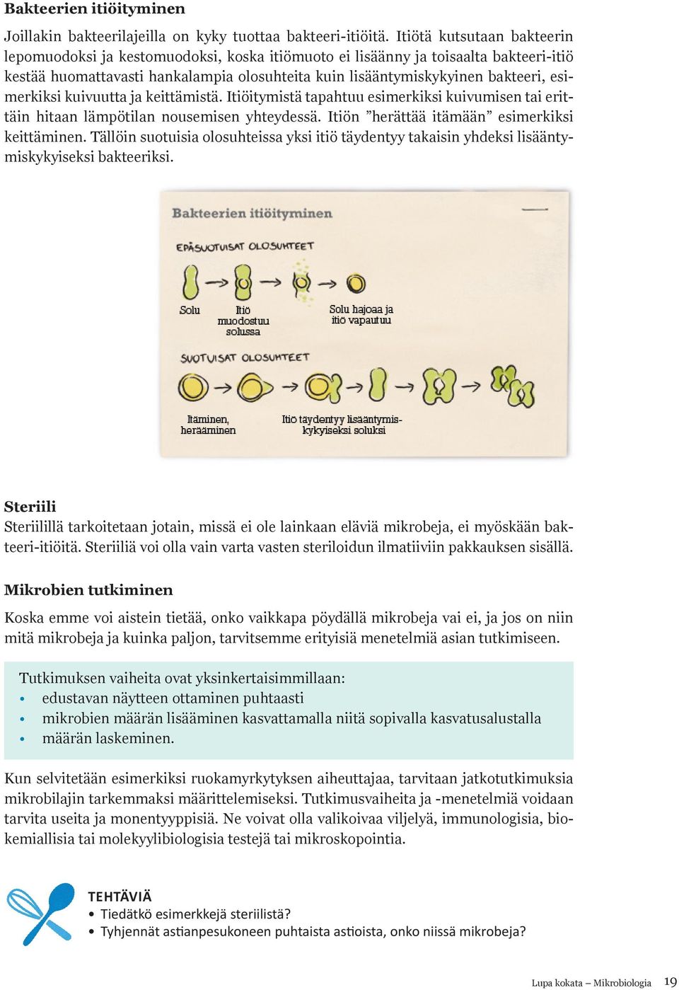 esimerkiksi kuivuutta ja keittämistä. Itiöitymistä tapahtuu esimerkiksi kuivumisen tai erittäin hitaan lämpötilan nousemisen yhteydessä. Itiön herättää itämään esimerkiksi keittäminen.