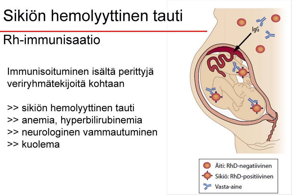 veriryhmätekijoitä kohtaan >> sikiön hemolyyttinen