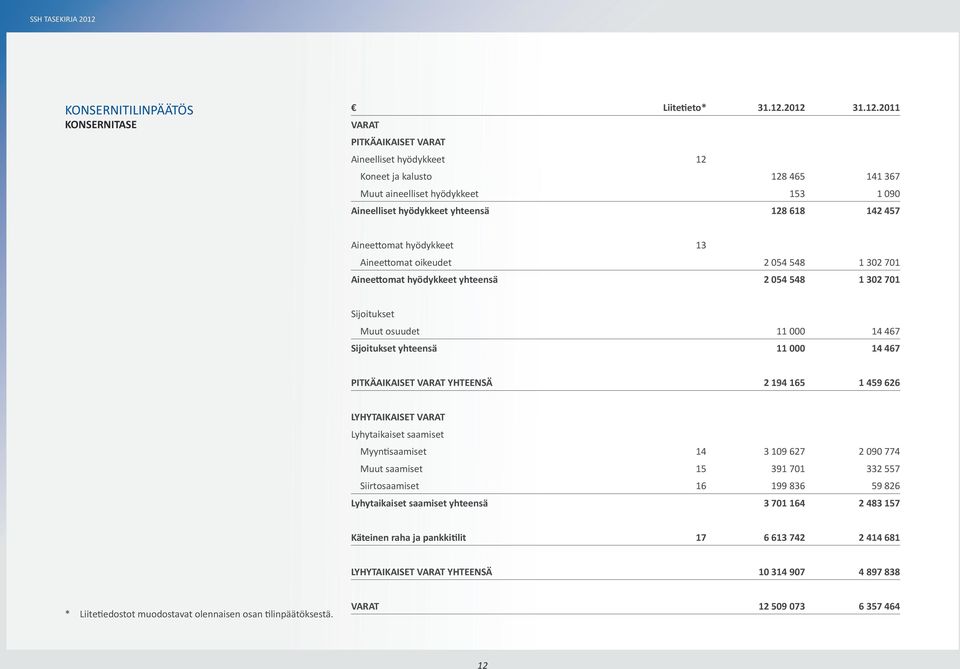 hyödykkeet 13 Aineettomat oikeudet 2 054 548 1 302 701 Aineettomat hyödykkeet yhteensä 2 054 548 1 302 701 Sijoitukset Muut osuudet 11 000 14 467 Sijoitukset yhteensä 11 000 14 467 PITKÄAIKAISET