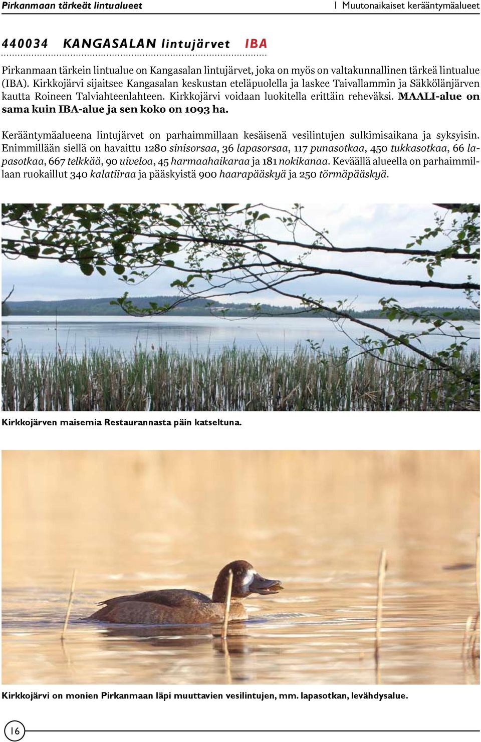 MAALI-alue on sama kuin IBA-alue ja sen koko on 1093 ha. Kerääntymäalueena lintujärvet on parhaimmillaan kesäisenä vesilintujen sulkimisaikana ja syksyisin.