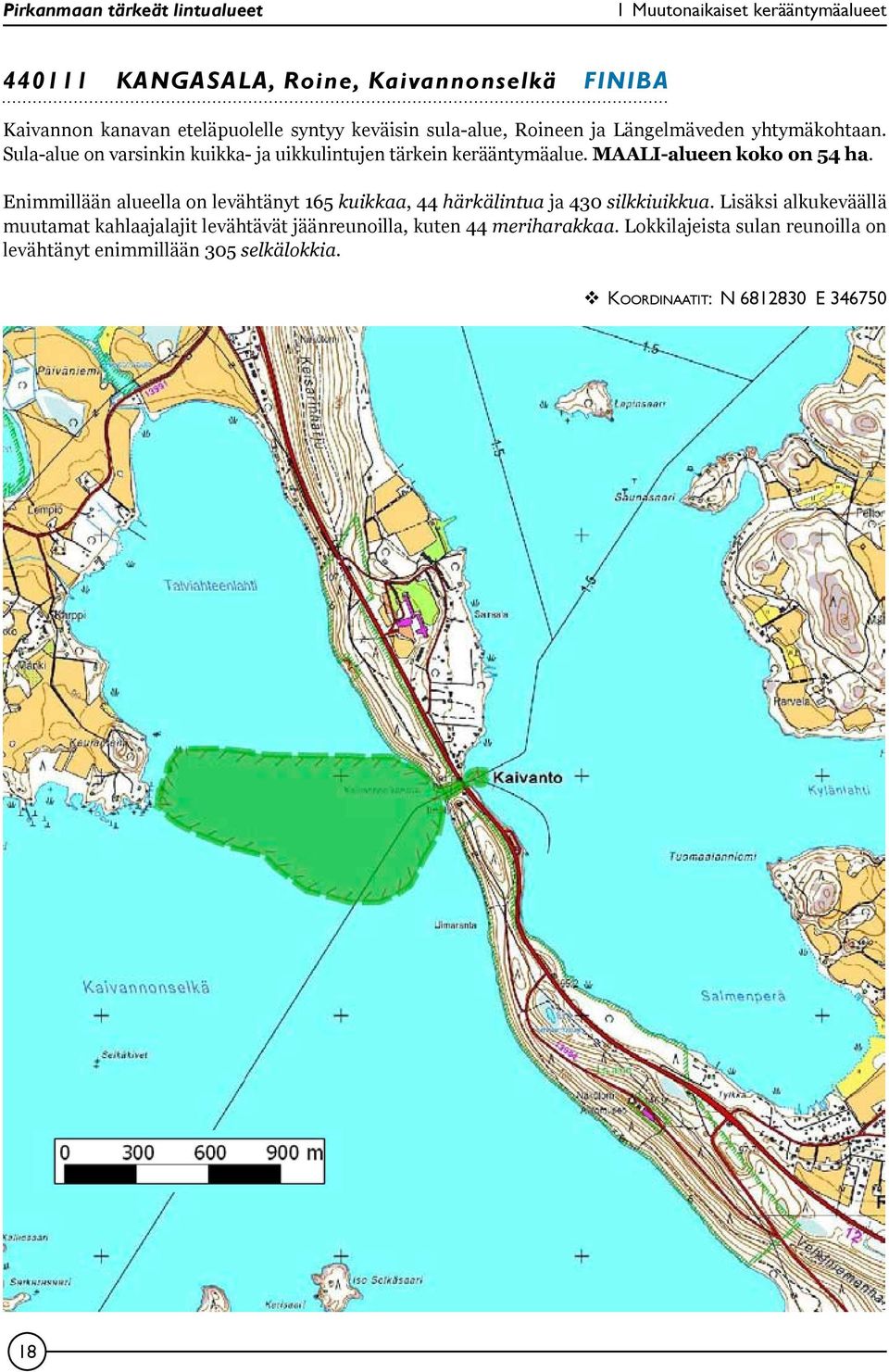 Enimmillään alueella on levähtänyt 165 kuikkaa, 44 härkälintua ja 430 silkkiuikkua.