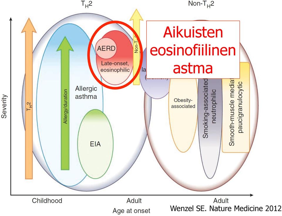 astma Wenzel SE.