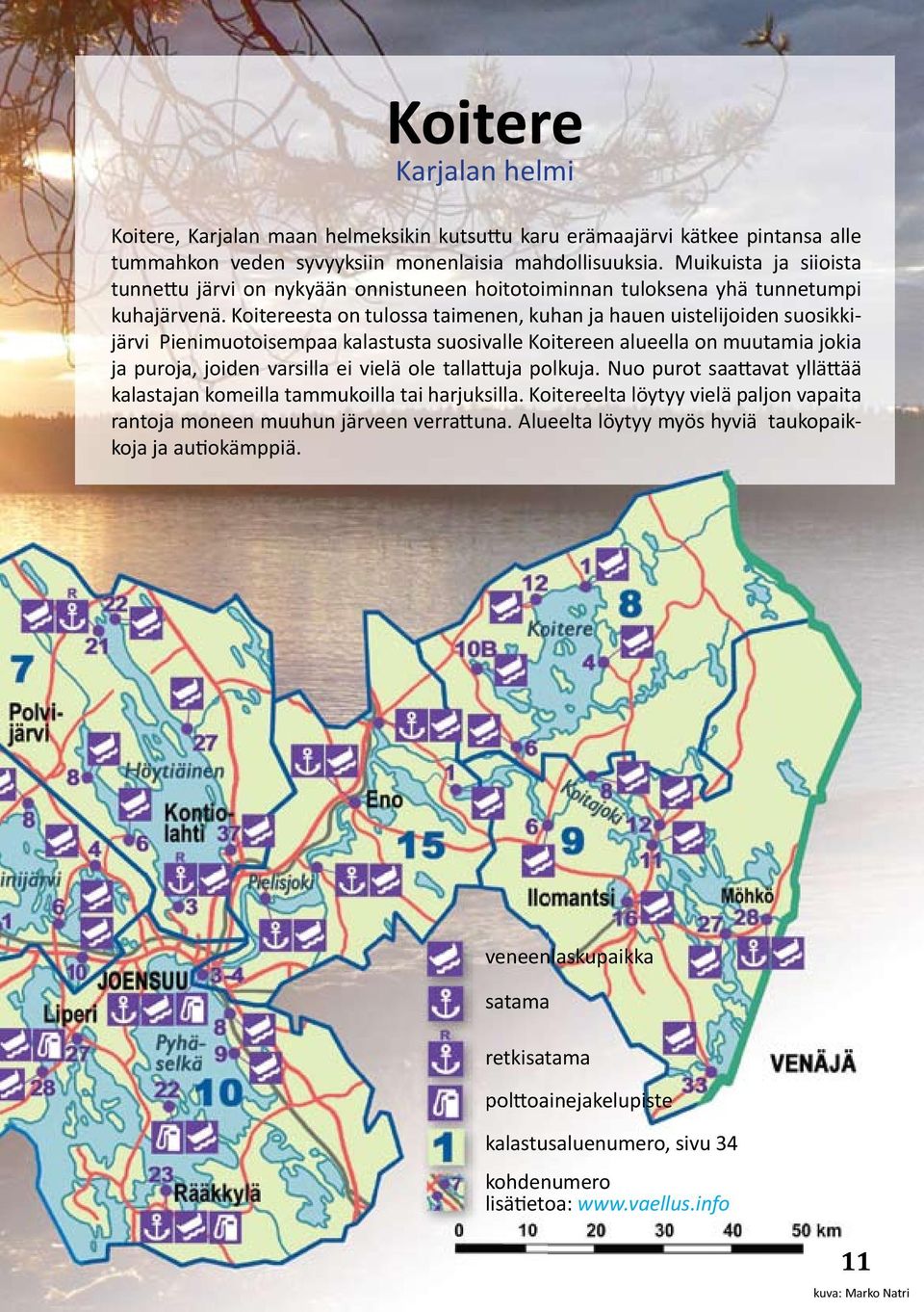 Koitereesta on tulossa taimenen, kuhan ja hauen uistelijoiden suosikkijärvi Pienimuotoisempaa kalastusta suosivalle Koitereen alueella on muutamia jokia ja puroja, joiden varsilla ei vielä ole