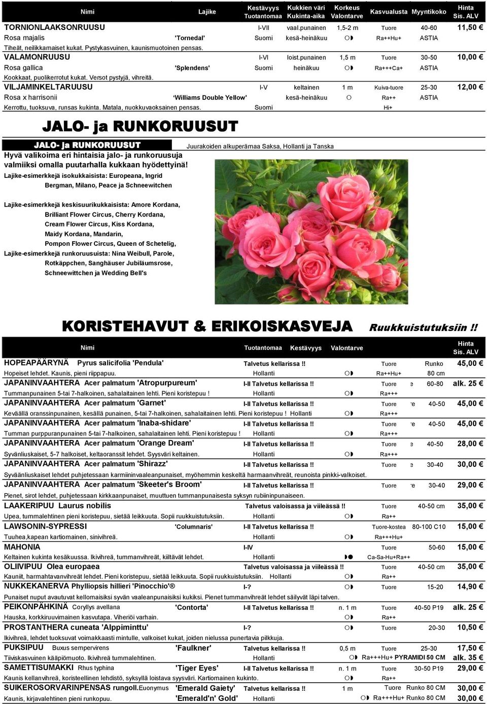 VILJAMINKELTARUUSU I-V keltainen 1 m Kuiva-tuore 25-30 12,00 Rosa x harrisonii Williams Double Yellow' kesä-heinäkuu Ra++ Kerrottu, tuoksuva, runsas kukinta. Matala, nuokkuvaoksainen pensas.