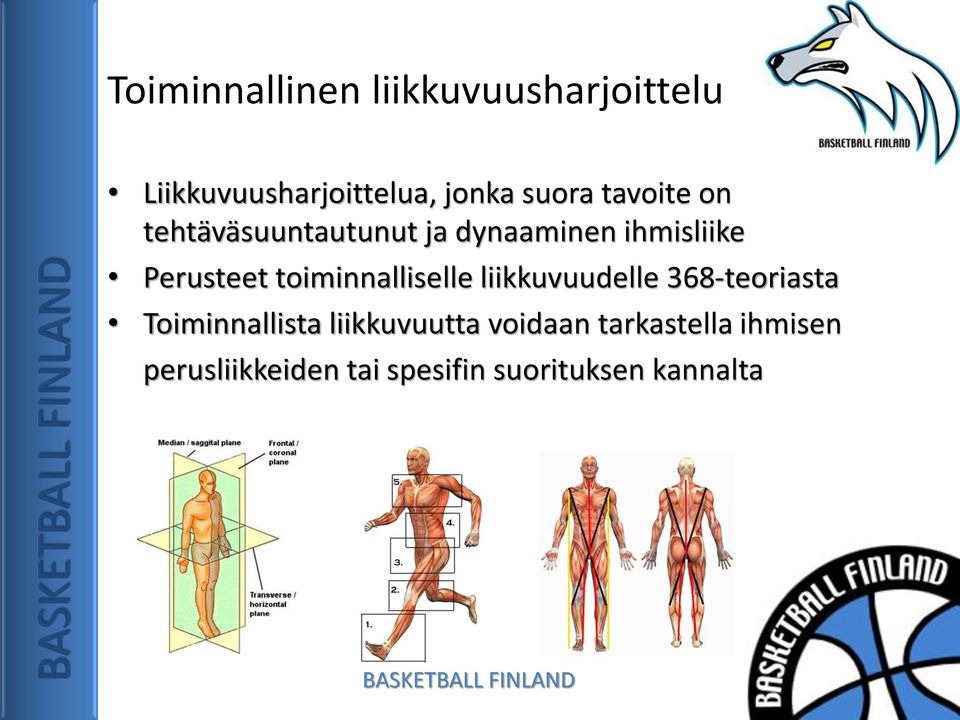 toiminnalliselle liikkuvuudelle 368-teoriasta Toiminnallista