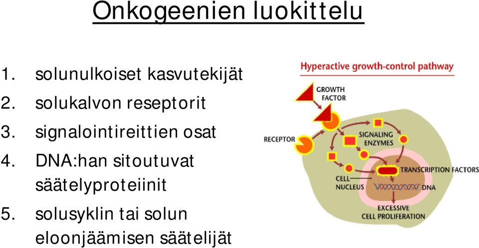 solukalvon reseptorit 3.