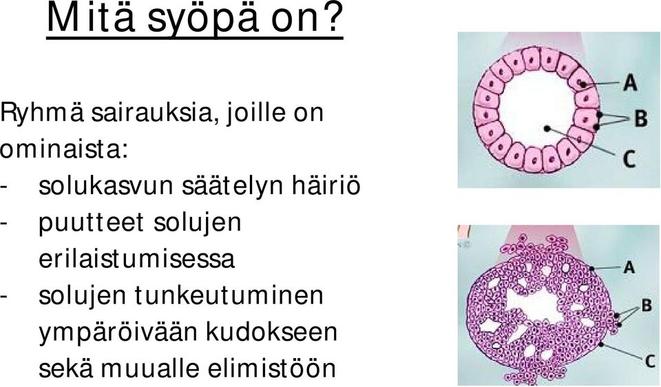 solukasvun säätelyn häiriö - puutteet solujen