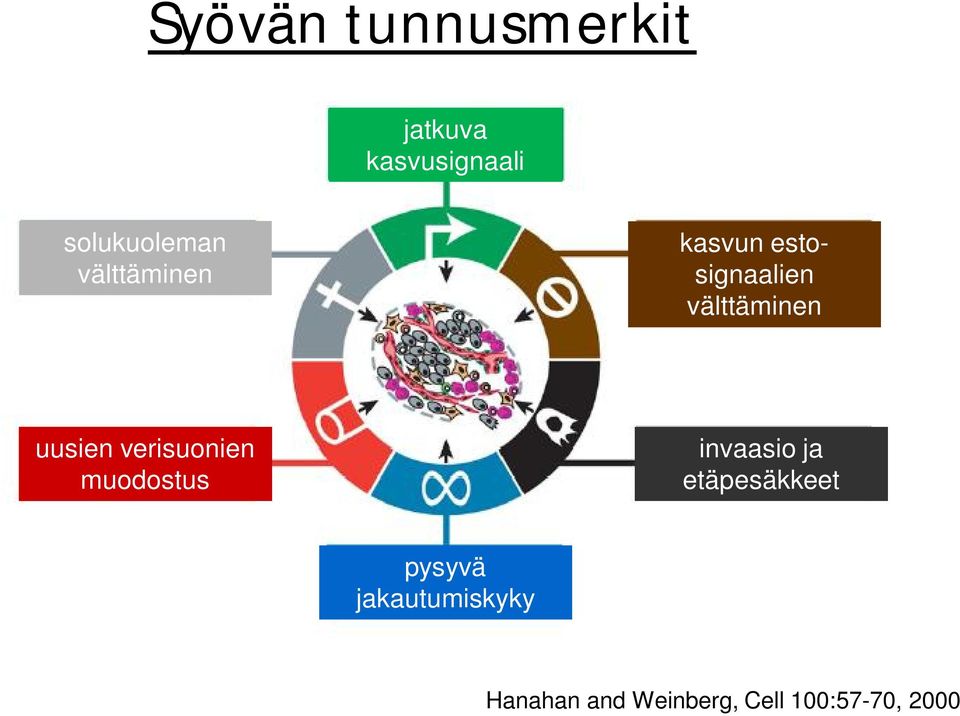 verisuonien muodostus invaasio ja etäpesäkkeet pysyvä