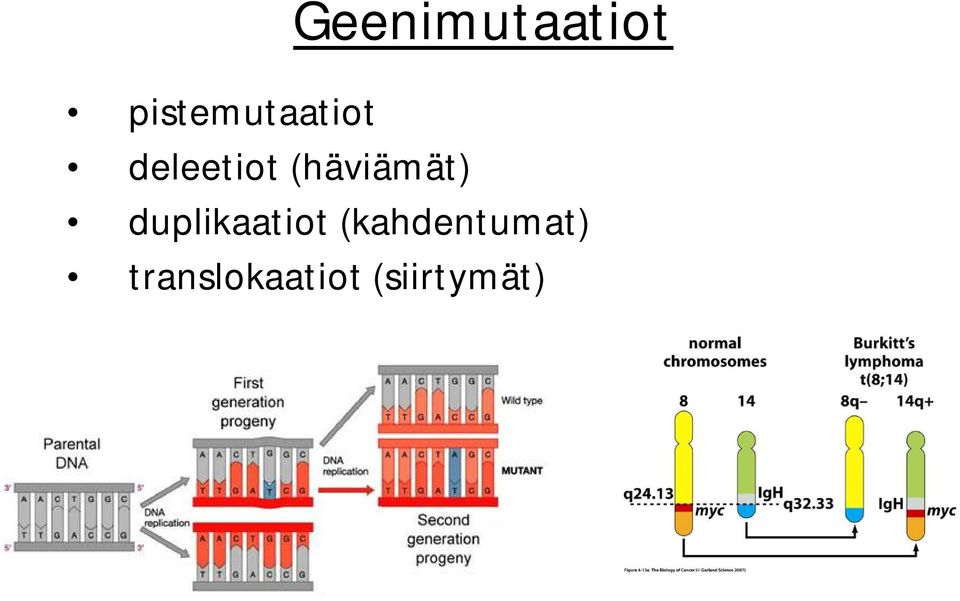 (häviämät) duplikaatiot