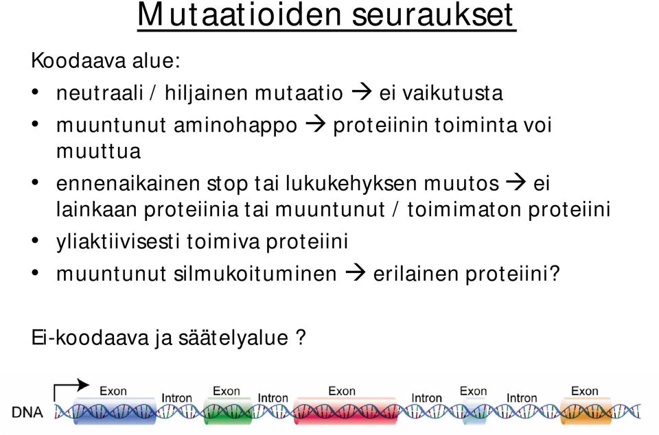 lukukehyksen muutos ei lainkaan proteiinia tai muuntunut / toimimaton proteiini