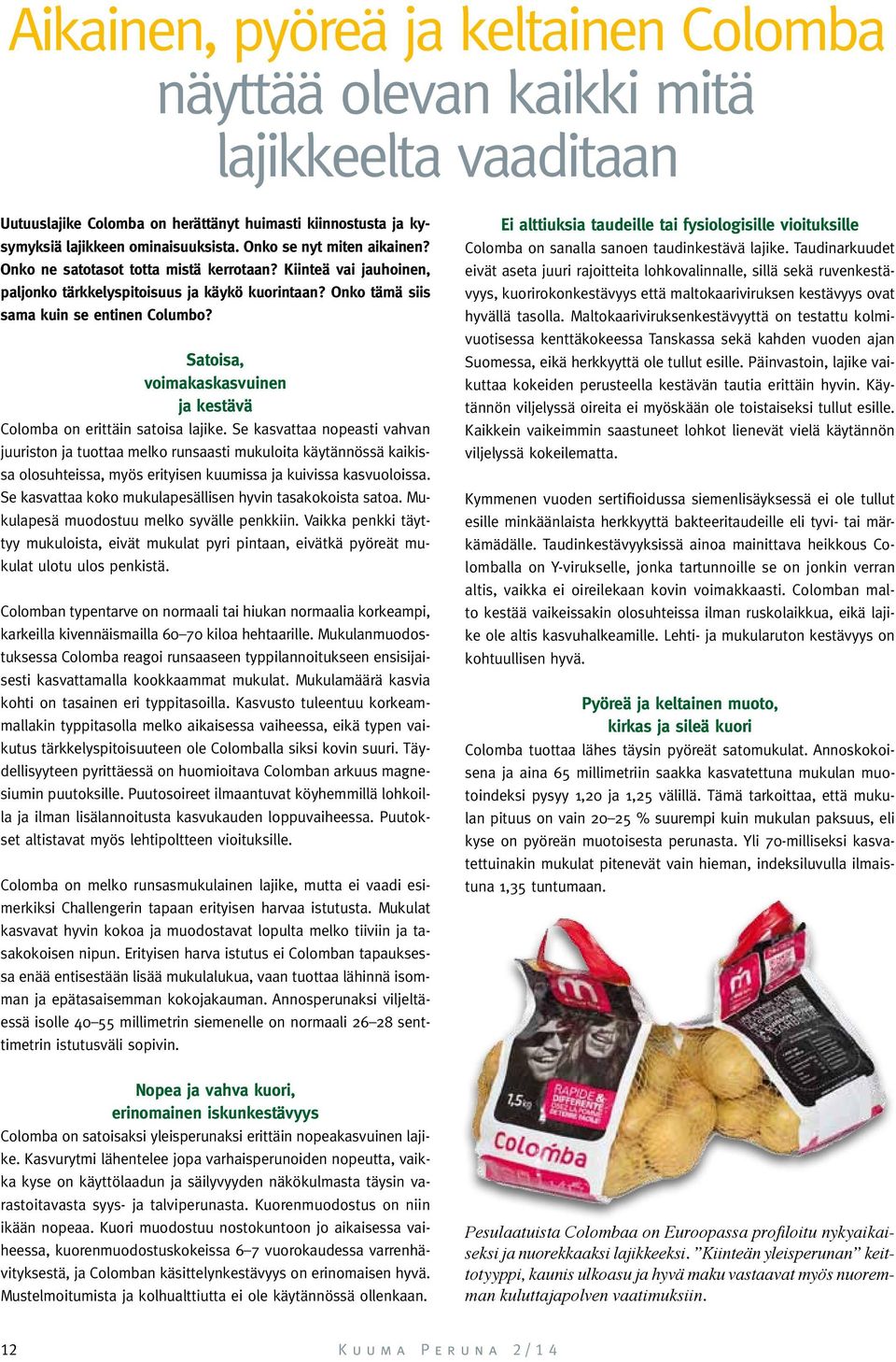Satoisa, voimakaskasvuinen ja kestävä Colomba on erittäin satoisa lajike.