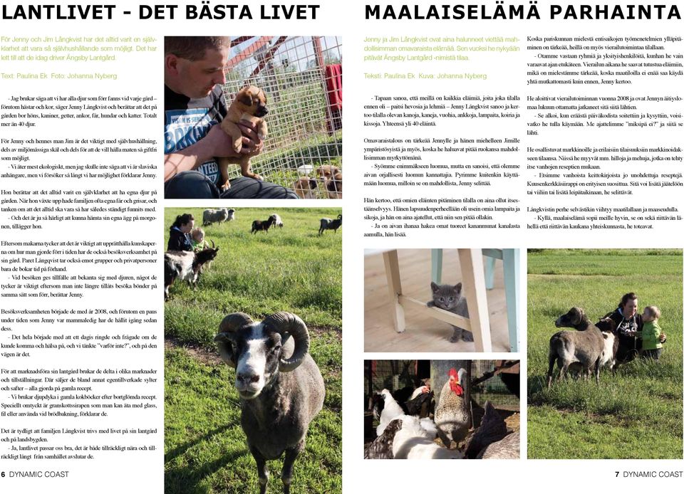 Text: Paulina Ek Foto: Johanna Nyberg - Jag brukar säga att vi har alla djur som förr fanns vid varje gård förutom hästar och kor, säger Jenny Långkvist och berättar att det på gården bor höns,