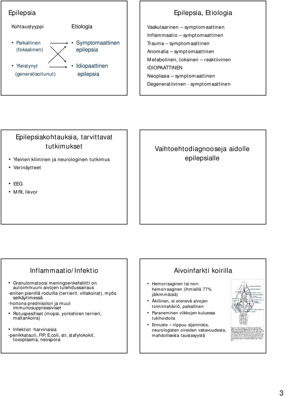 Epilepsiakohtauksia, tarvittavat tutkimukset Yleinen kliininen ja neurologinen tutkimus Verinäytteet Vaihtoehtodiagnooseja aidolle epilepsialle EEG MRI, likvor Inflammaatio/Infektio Granulomatoosi