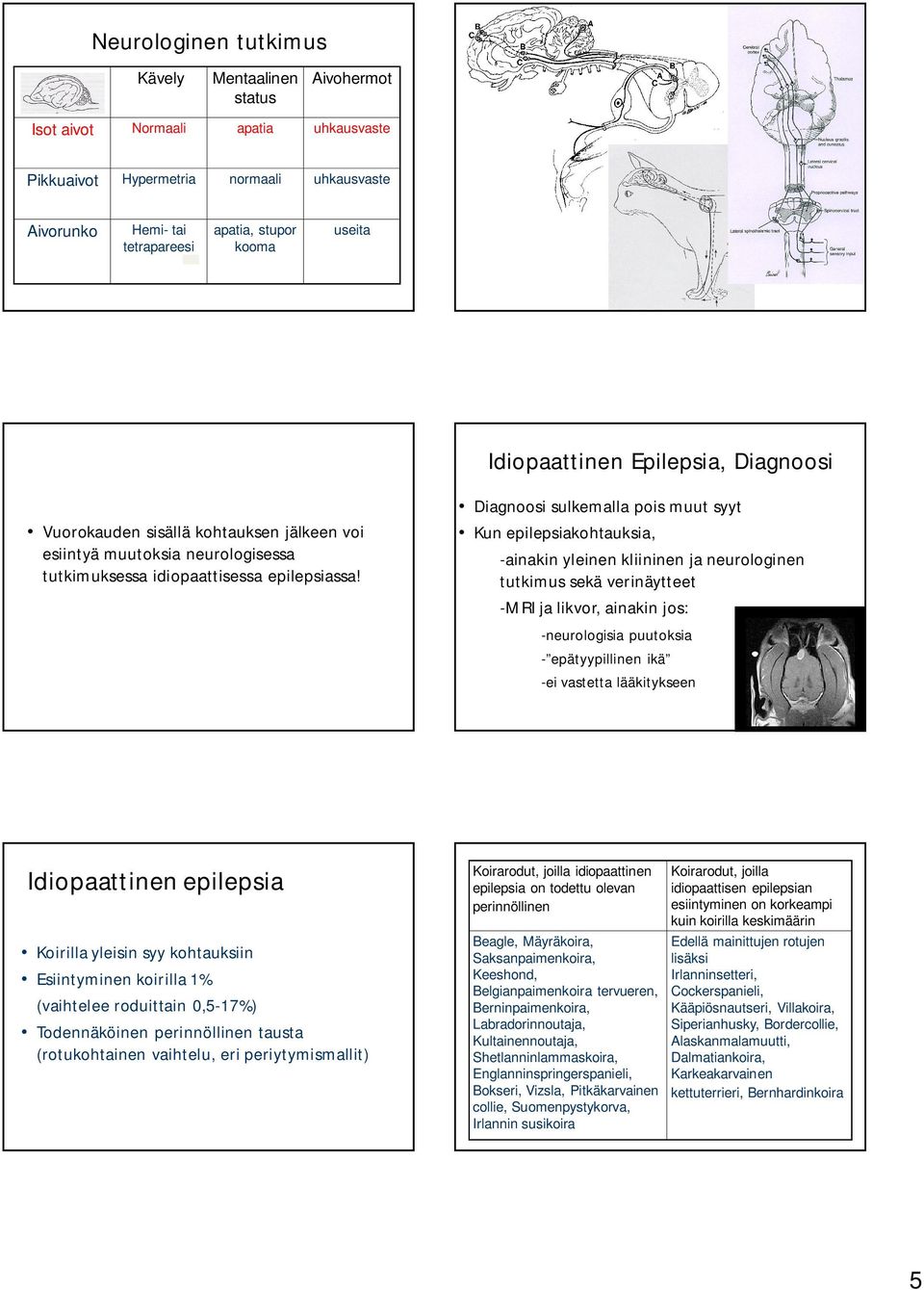 Diagnoosi sulkemalla pois muut syyt Kun epilepsiakohtauksia, -ainakin yleinen kliininen ja neurologinen tutkimus sekä verinäytteet -MRI ja likvor, ainakin jos: -neurologisia puutoksia -