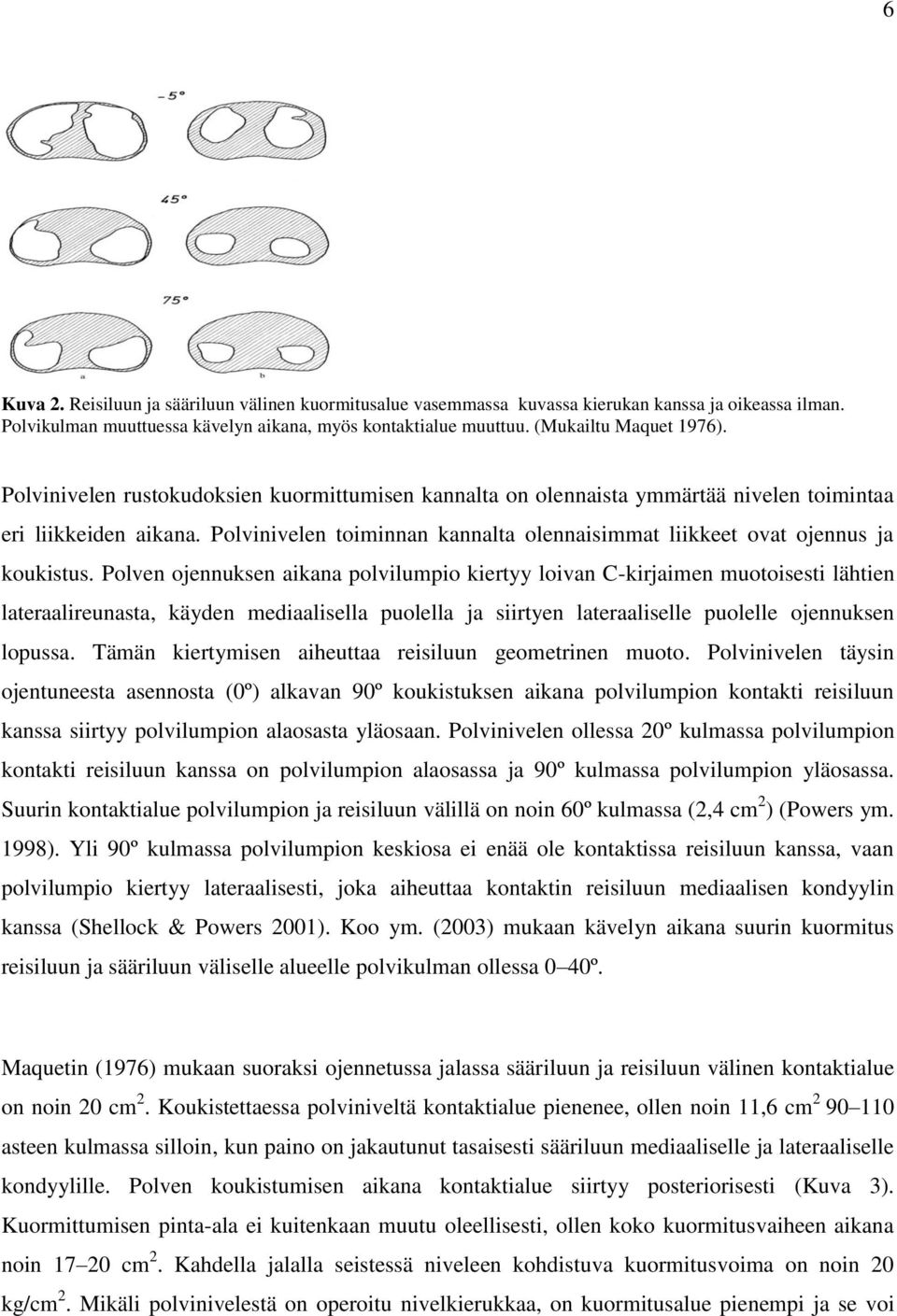 Polven ojennuksen aikana polvilumpio kiertyy loivan C-kirjaimen muotoisesti lähtien lateraalireunasta, käyden mediaalisella puolella ja siirtyen lateraaliselle puolelle ojennuksen lopussa.