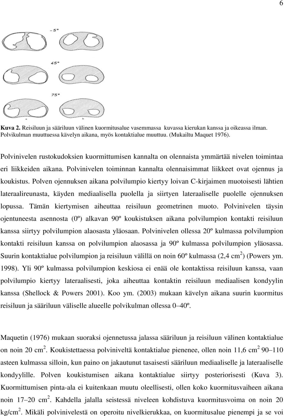 Polven ojennuksen aikana polvilumpio kiertyy loivan C-kirjaimen muotoisesti lähtien lateraalireunasta, käyden mediaalisella puolella ja siirtyen lateraaliselle puolelle ojennuksen lopussa.