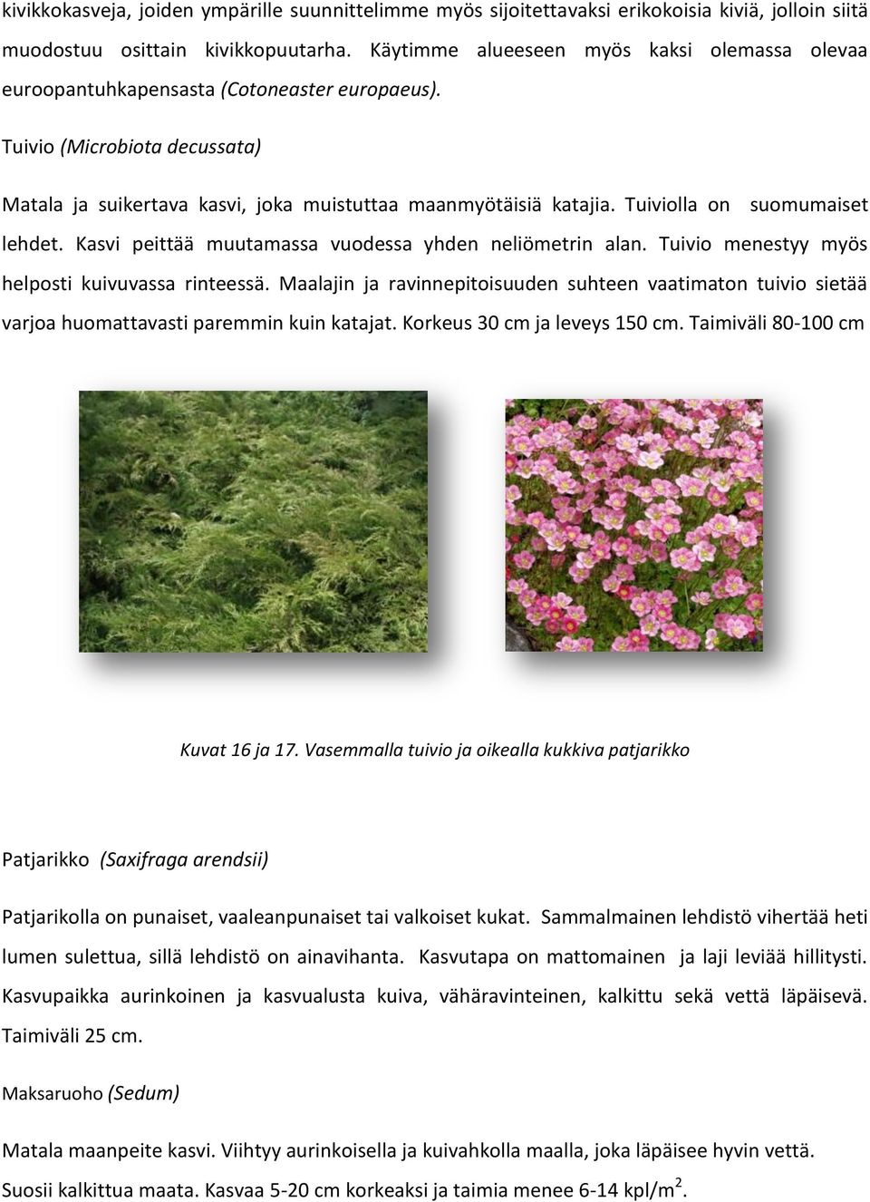 Tuiviolla on suomumaiset lehdet. Kasvi peittää muutamassa vuodessa yhden neliömetrin alan. Tuivio menestyy myös helposti kuivuvassa rinteessä.