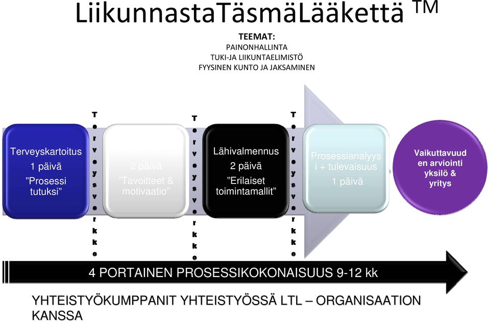 päivä Erilaiset toimintamallit Prosessianalyys i + tulevaisuus 1 päivä Vaikuttavuud en arviointi yksilö &