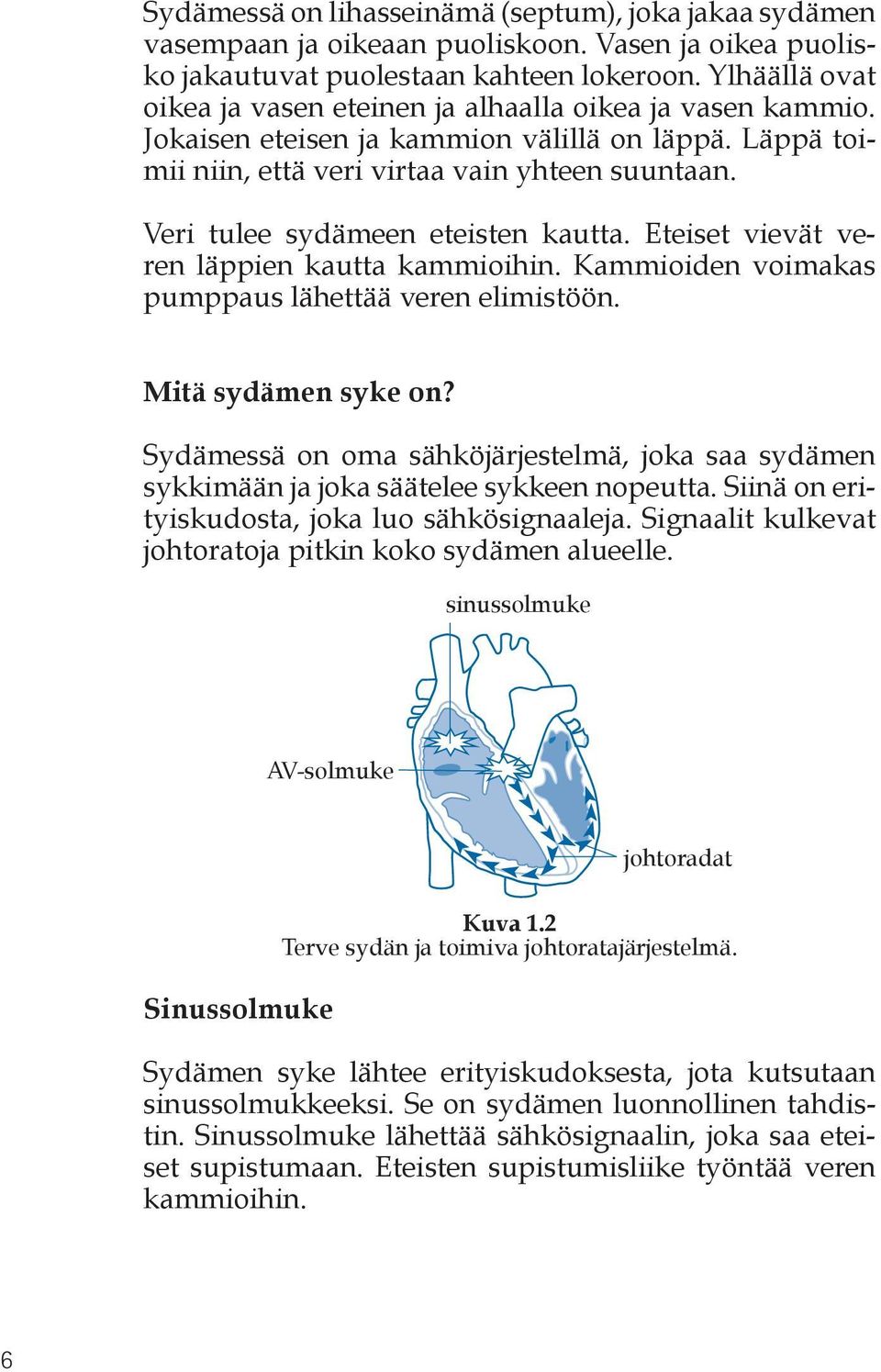 Veri tulee sydämeen eteisten kautta. Eteiset vievät veren läppien kautta kammioihin. Kammioiden voimakas pumppaus lähettää veren elimistöön. Mitä sydämen syke on?
