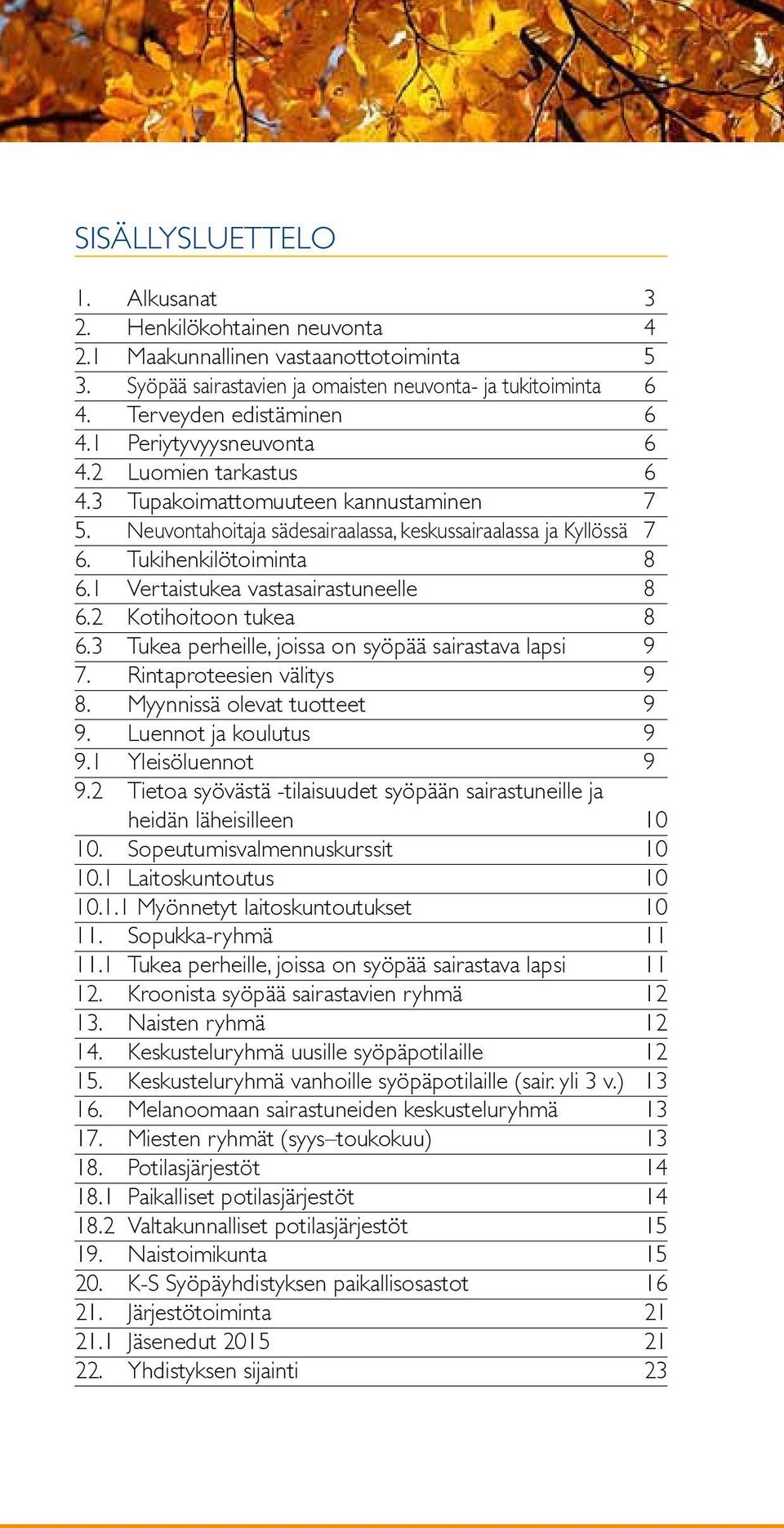 1 Vertaistukea vastasairastuneelle 8 6.2 Kotihoitoon tukea 8 6.3 Tukea perheille, joissa on syöpää sairastava lapsi 9 7. Rintaproteesien välitys 9 8. Myynnissä olevat tuotteet 9 9.