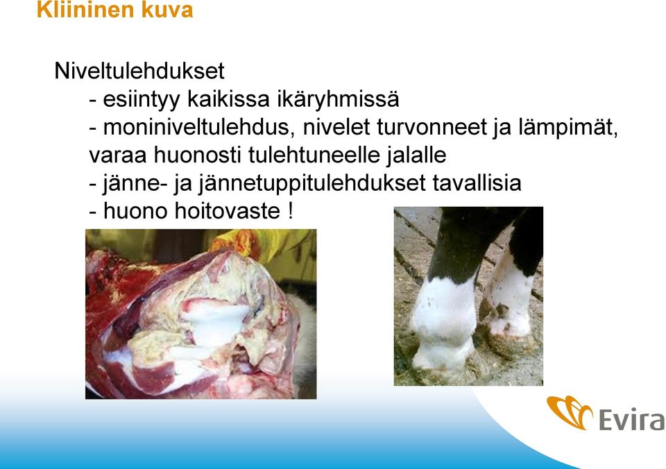 lämpimät, varaa huonosti tulehtuneelle jalalle -