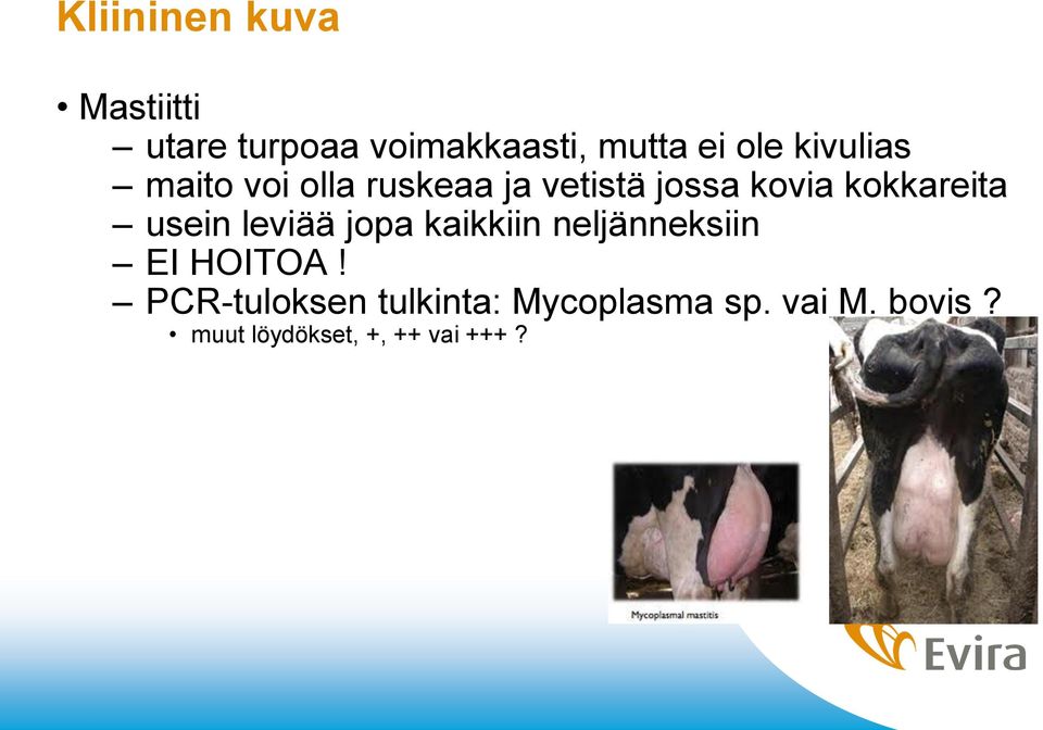 usein leviää jopa kaikkiin neljänneksiin EI HOITOA!