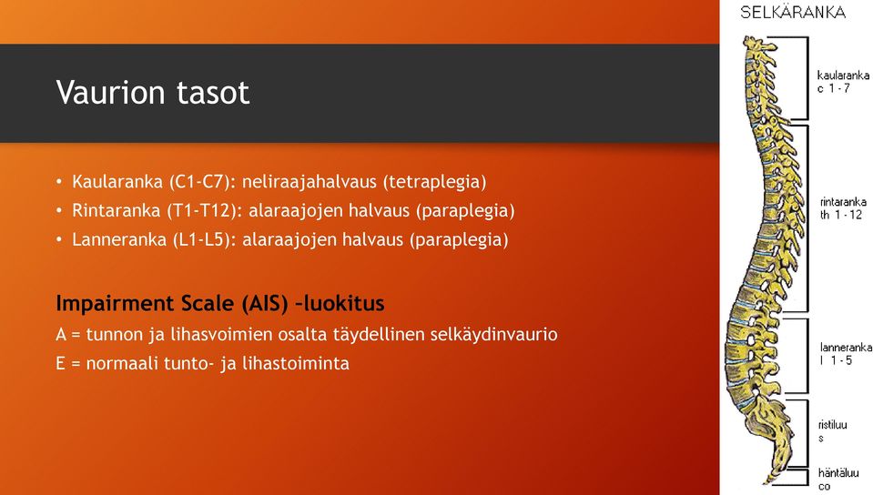 halvaus (paraplegia) Impairment Scale (AIS) luokitus A = tunnon ja