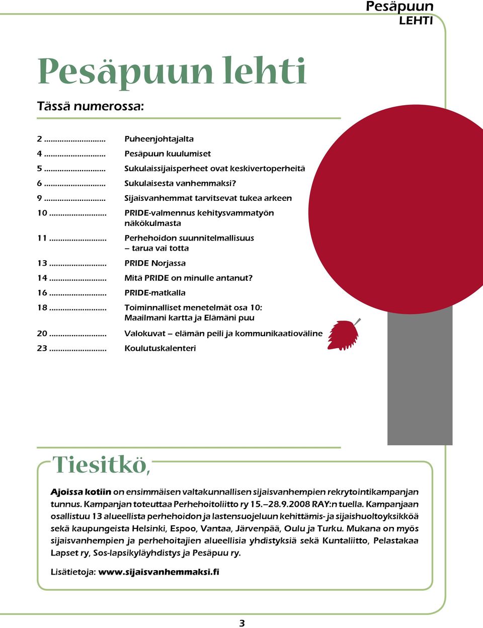 .. Mitä PRIDE on minulle antanut? 16... PRIDE-matkalla 18... Toiminnalliset menetelmät osa 10: Maailmani kartta ja Elämäni puu 20... Valokuvat elämän peili ja kommunikaatioväline 23.