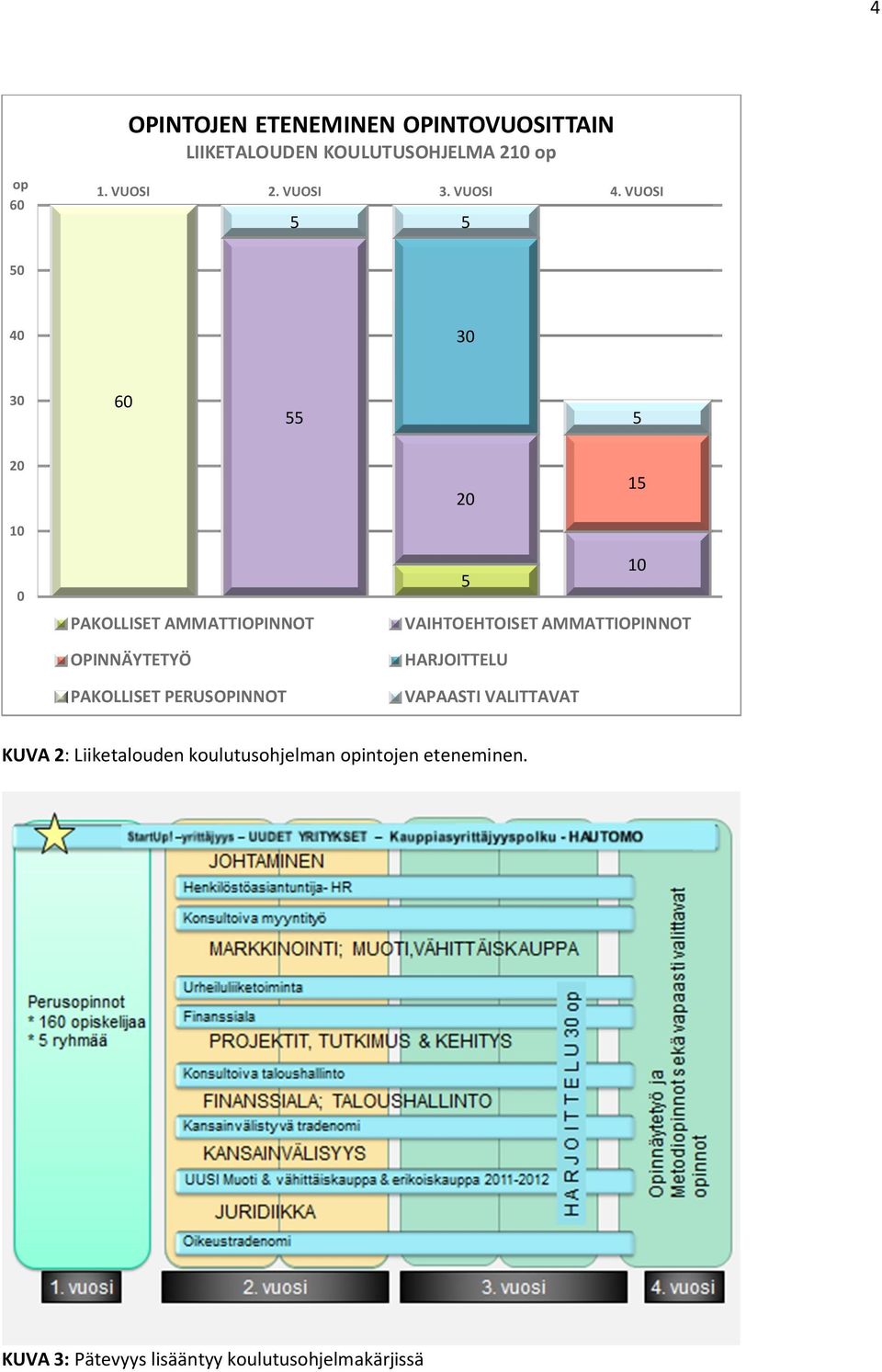 VUOSI 5 5 50 40 30 30 60 55 5 20 10 20 15 0 PAKOLLISET AMMATTIOPINNOT OPINNÄYTETYÖ PAKOLLISET