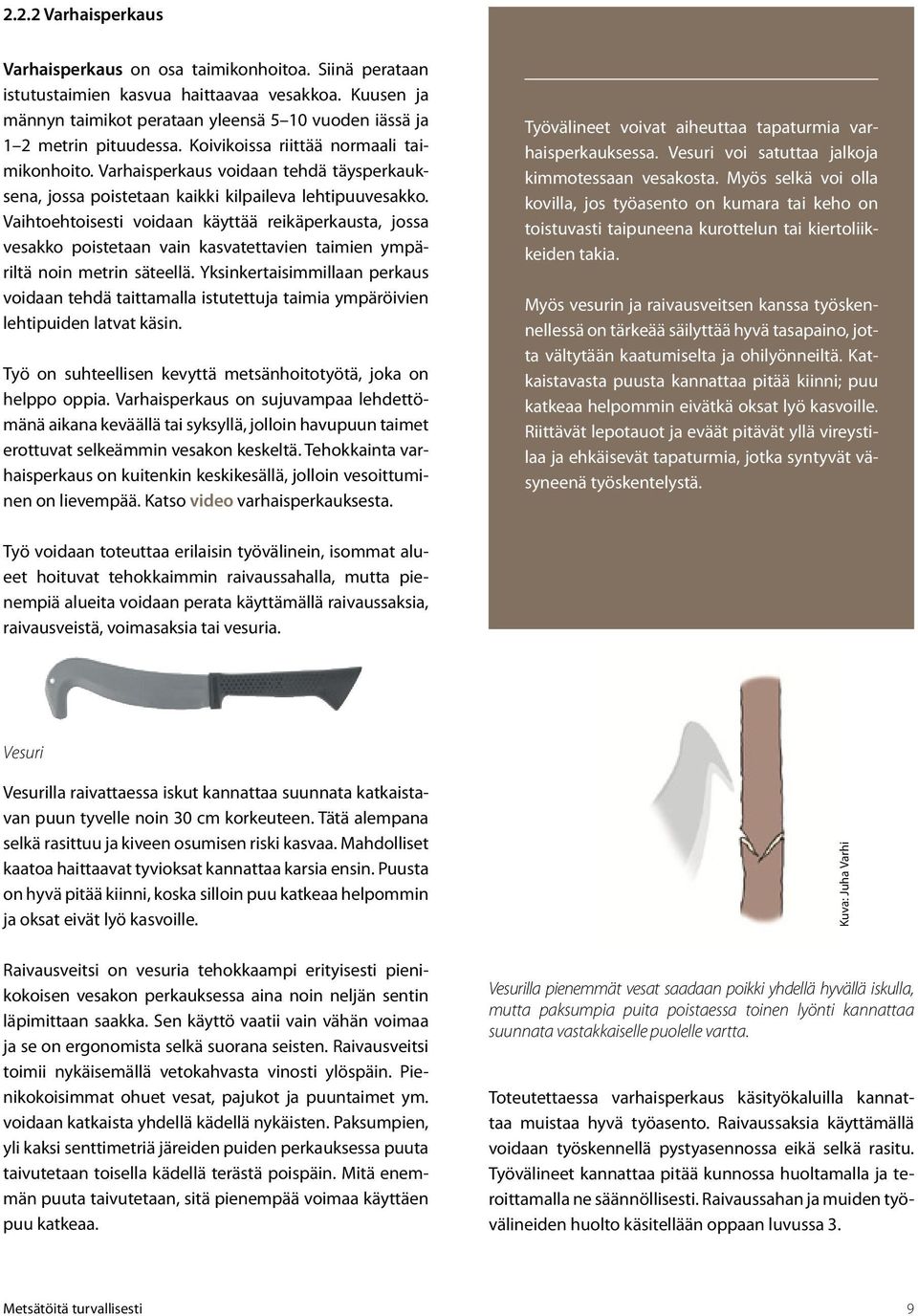 Varhaisperkaus voidaan tehdä täysperkauksena, jossa poistetaan kaikki kilpaileva lehtipuuvesakko.