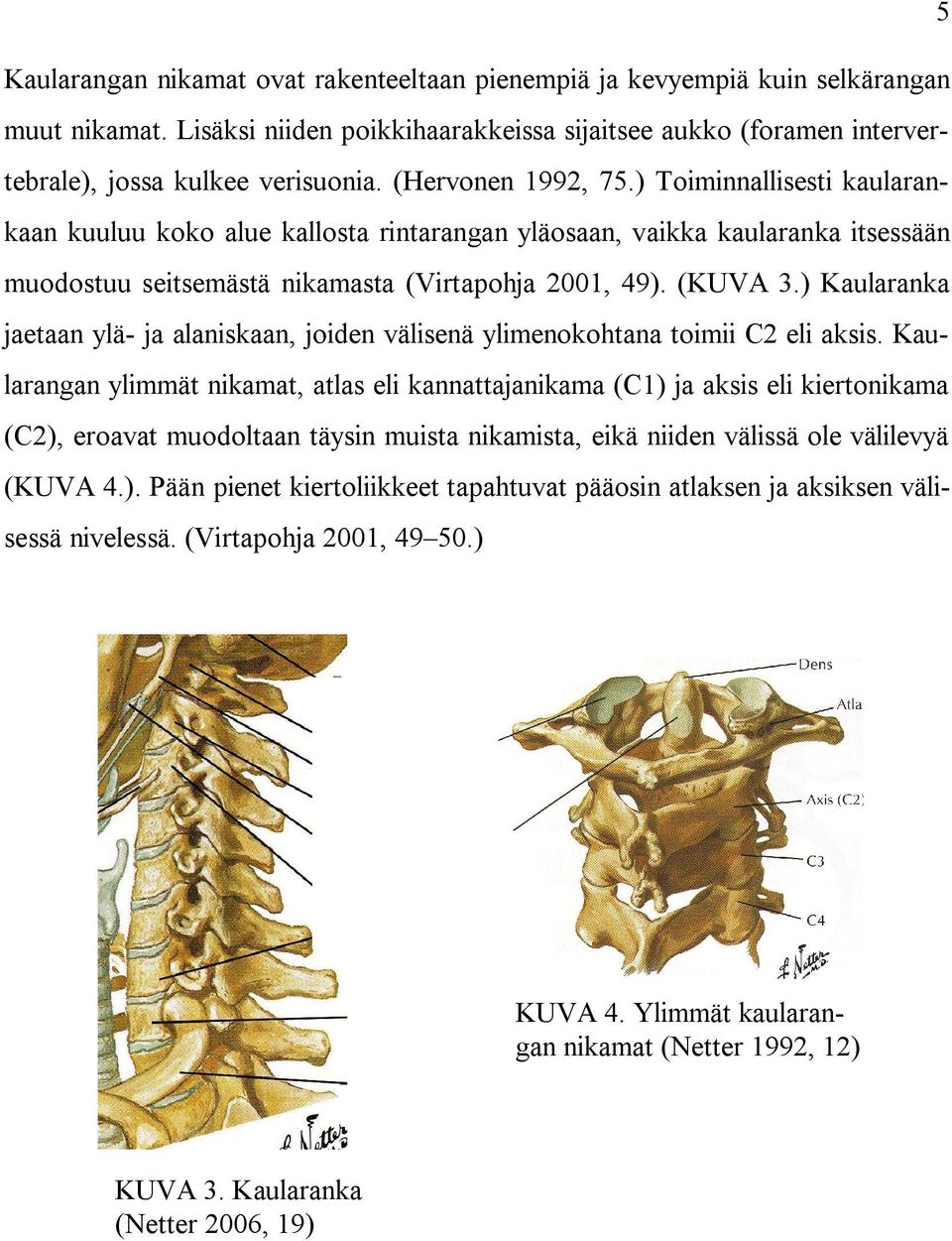 ) Kaularanka jaetaan ylä- ja alaniskaan, joiden välisenä ylimenokohtana toimii C2 eli aksis.