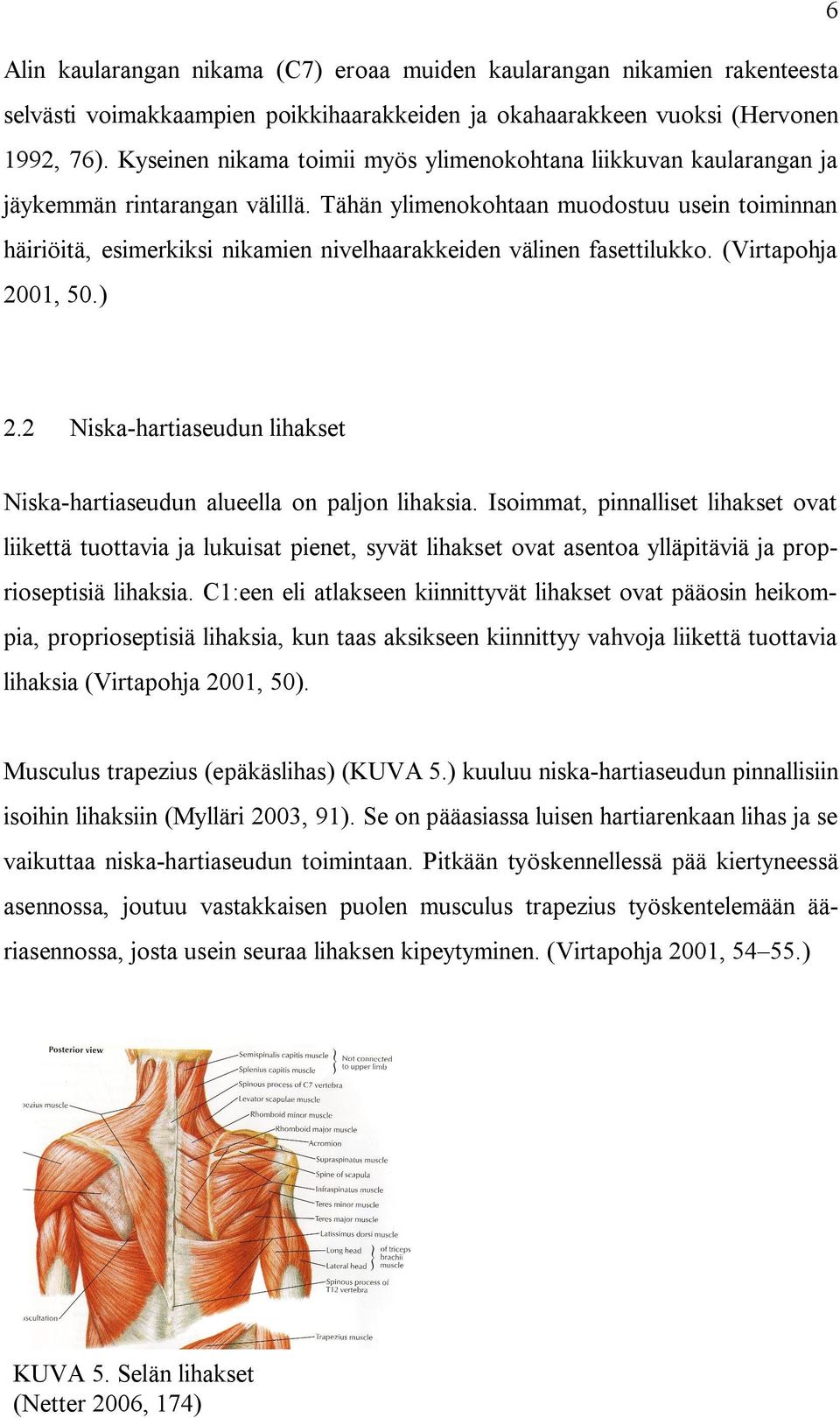 Tähän ylimenokohtaan muodostuu usein toiminnan häiriöitä, esimerkiksi nikamien nivelhaarakkeiden välinen fasettilukko. (Virtapohja 2001, 50.) 2.