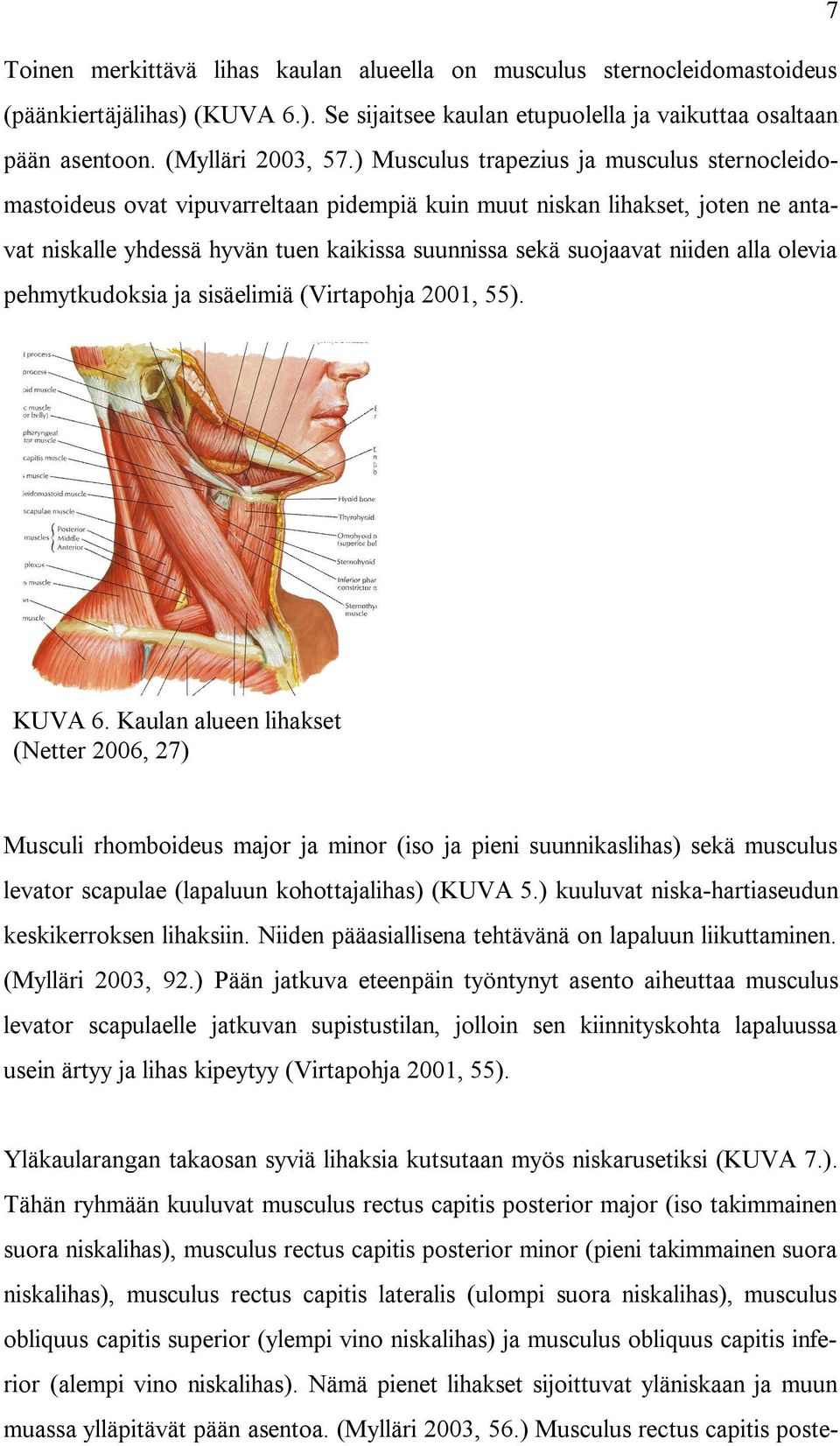 alla olevia pehmytkudoksia ja sisäelimiä (Virtapohja 2001, 55). KUVA 6.