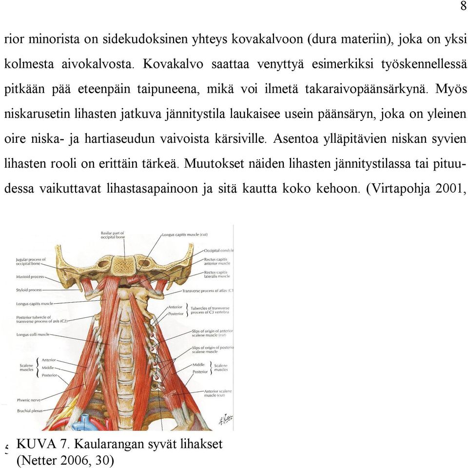 Myös niskarusetin lihasten jatkuva jännitystila laukaisee usein päänsäryn, joka on yleinen oire niska- ja hartiaseudun vaivoista kärsiville.