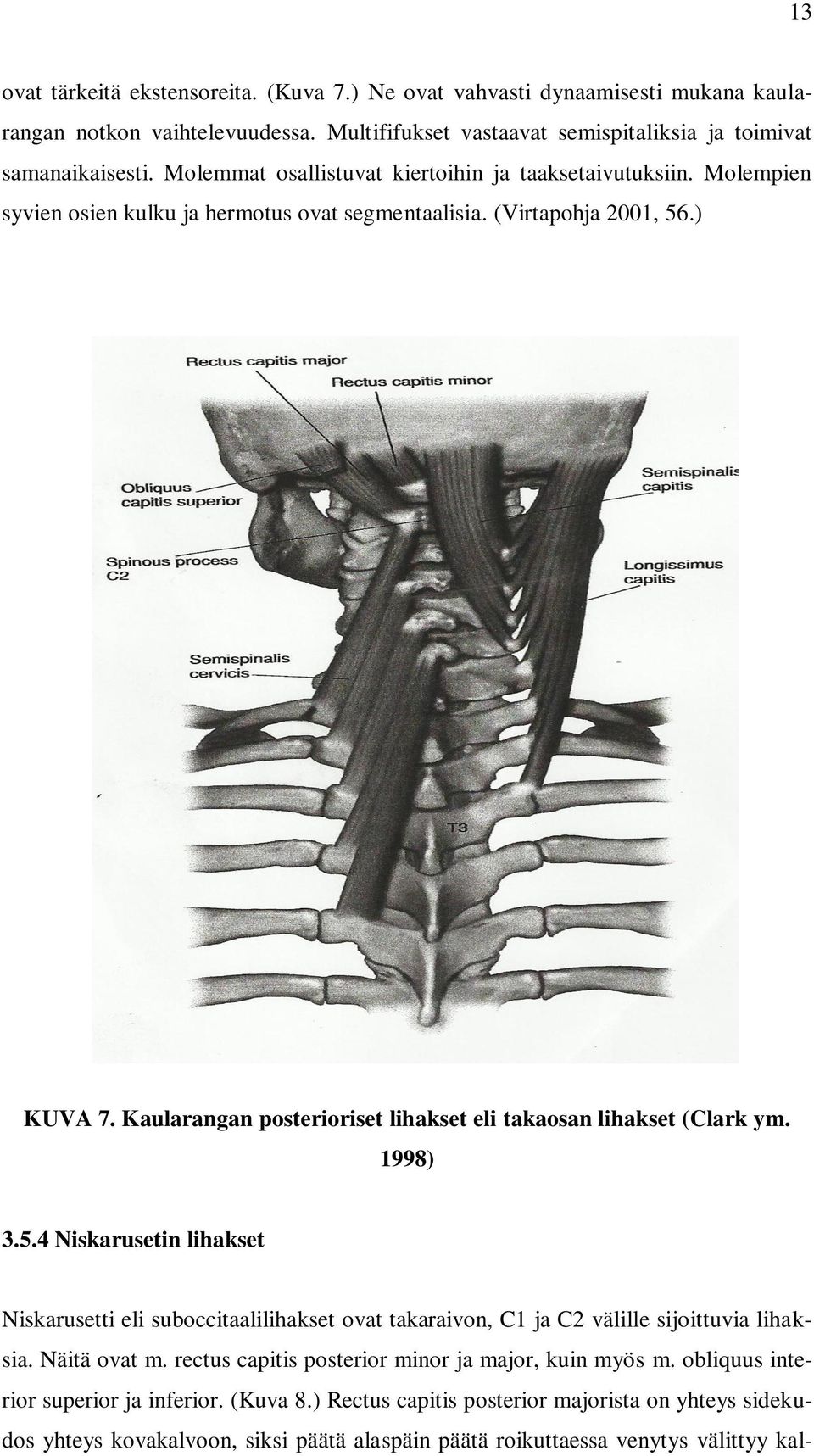 Kaularangan posterioriset lihakset eli takaosan lihakset (Clark ym. 1998) 3.5.4 Niskarusetin lihakset Niskarusetti eli suboccitaalilihakset ovat takaraivon, C1 ja C2 välille sijoittuvia lihaksia.