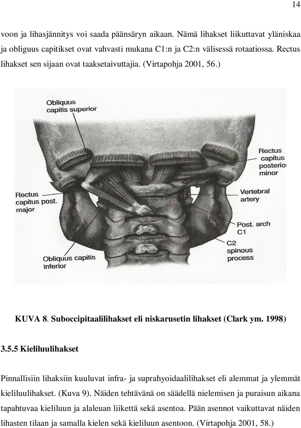 .) KUVA 8. Suboccipitaalilihakset eli niskarusetin lihakset (Clark ym. 1998) 3.5.