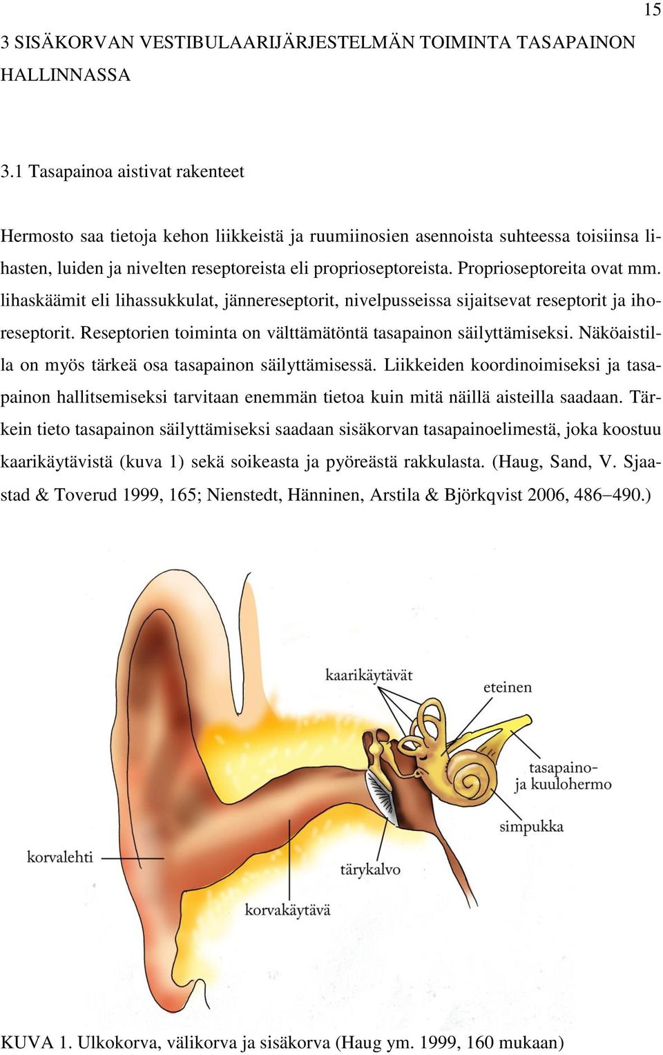 Proprioseptoreita ovat mm. lihaskäämit eli lihassukkulat, jännereseptorit, nivelpusseissa sijaitsevat reseptorit ja ihoreseptorit. Reseptorien toiminta on välttämätöntä tasapainon säilyttämiseksi.