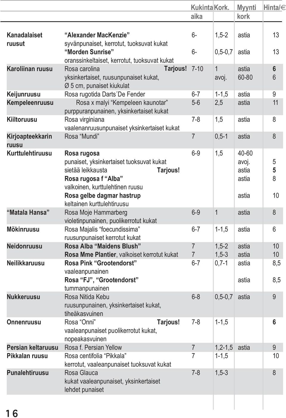 Karoliinan ruusu Rosa carolina Tarjous! 7-10 1 astia 6 yksinkertaiset, ruusunpunaiset kukat, avoj.