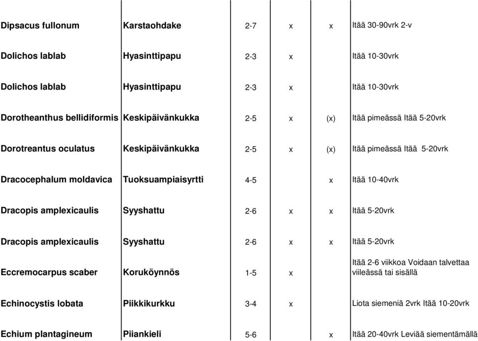 Tuoksuampiaisyrtti 4-5 x Itää 10-40vrk Dracopis amplexicaulis Syyshattu 2-6 x x Itää 5-20vrk Dracopis amplexicaulis Syyshattu 2-6 x x Itää 5-20vrk Eccremocarpus scaber Koruköynnös