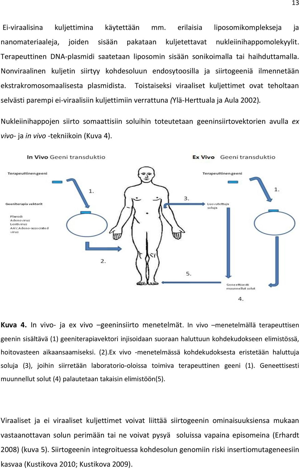 Nonviraalinen kuljetin siirtyy kohdesoluun endosytoosilla ja siirtogeeniä ilmennetään ekstrakromosomaalisesta plasmidista.