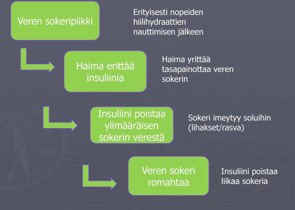 sokerin Insuliini poistaa ylimääräisen sokerin verestä Sokeri imeytyy