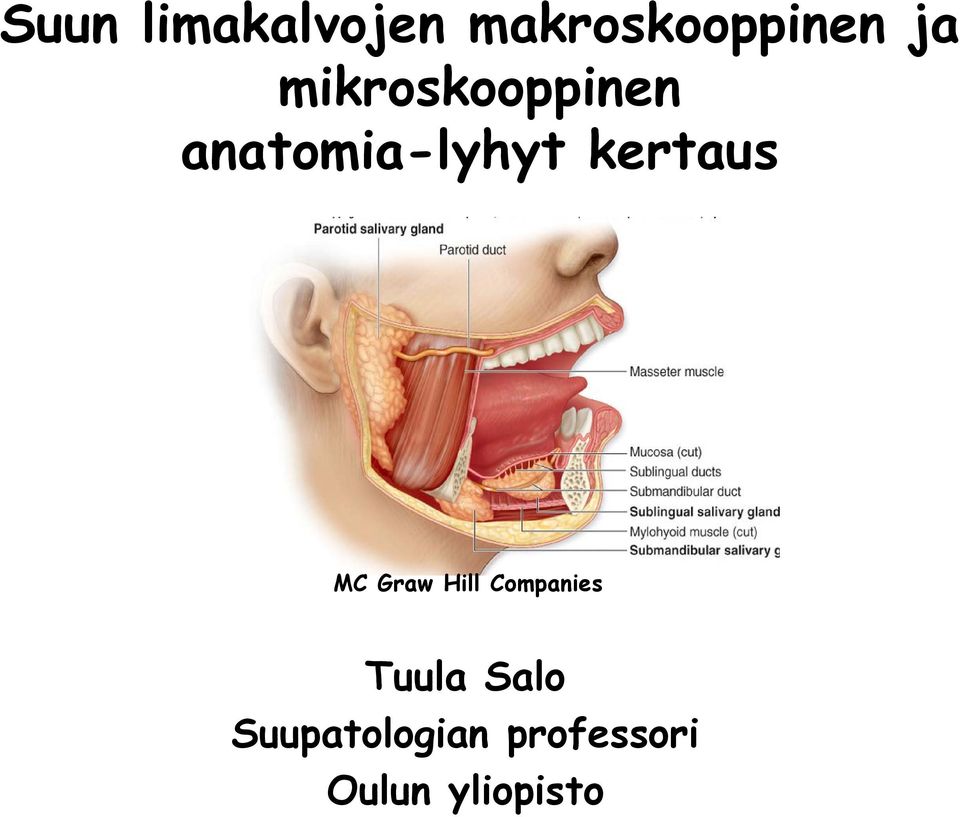 kertaus MC Graw Hill Companies Tuula