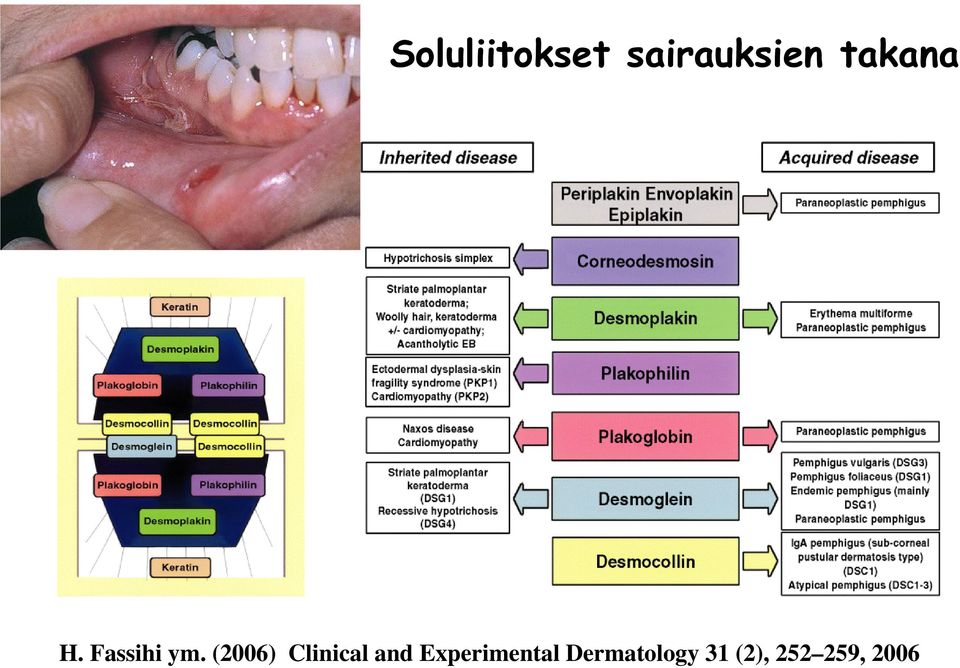 (2006) Clinical and