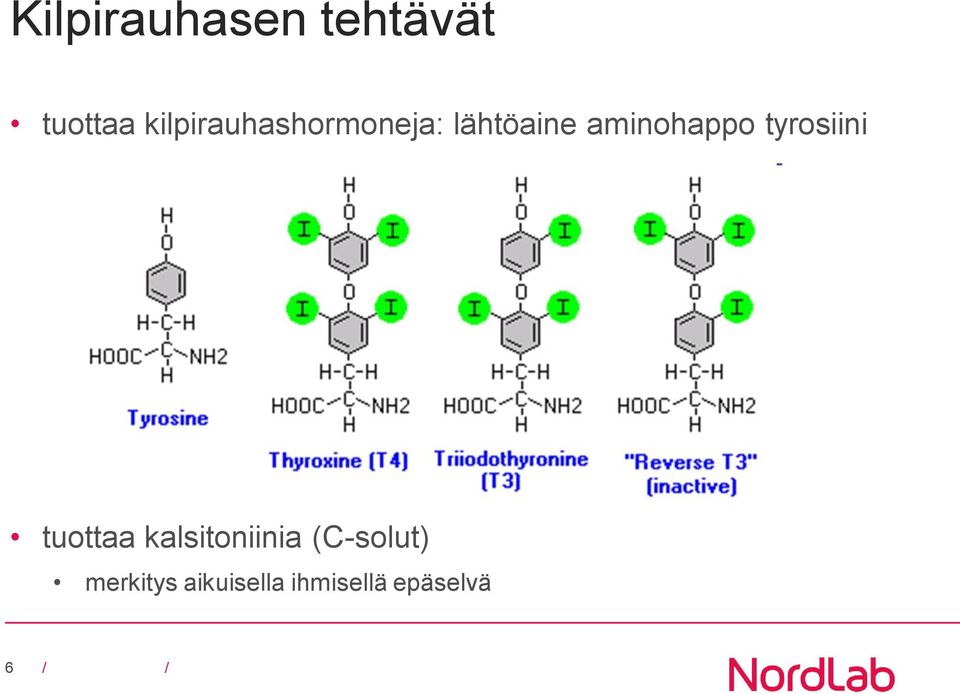 aminohappo tyrosiini tuottaa