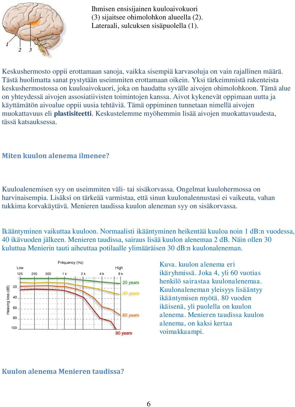 Yksi tärkeimmistä rakenteista keskushermostossa on kuuloaivokuori, joka on haudattu syvälle aivojen ohimolohkoon. Tämä alue on yhteydessä aivojen assosiatiivisten toimintojen kanssa.