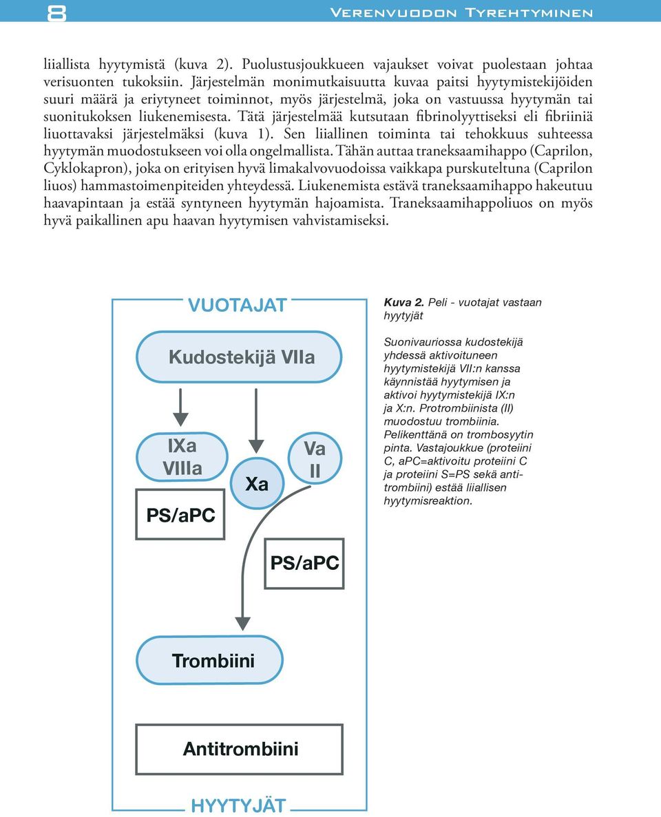 Tätä järjestelmää kutsutaan fibrinolyyttiseksi eli fibriiniä liuottavaksi järjestelmäksi (kuva 1). Sen liiallinen toiminta tai tehokkuus suhteessa hyytymän muodostukseen voi olla ongelmallista.