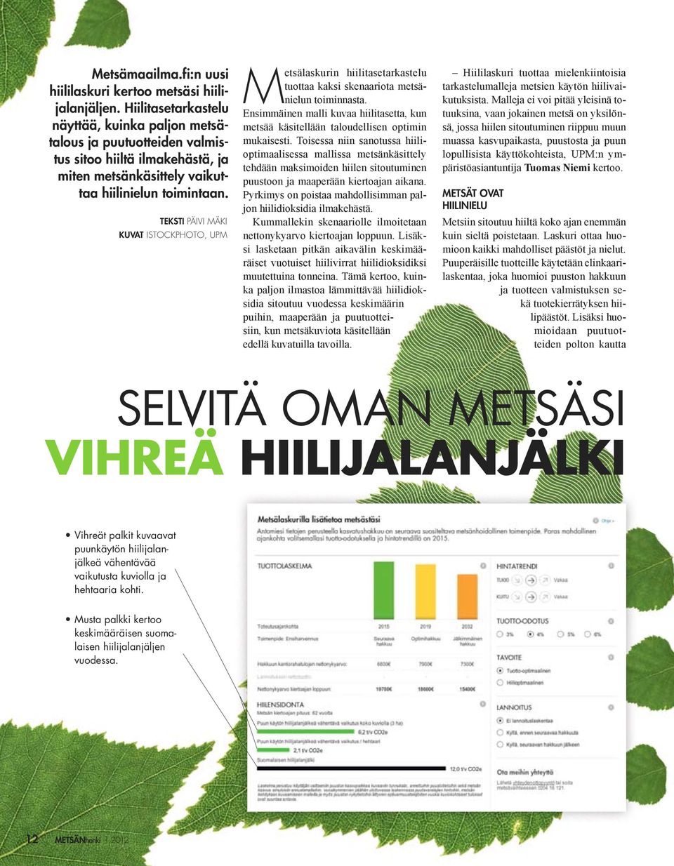 metsänkäsittely vaikuttaa hiilinielun toimintaan.