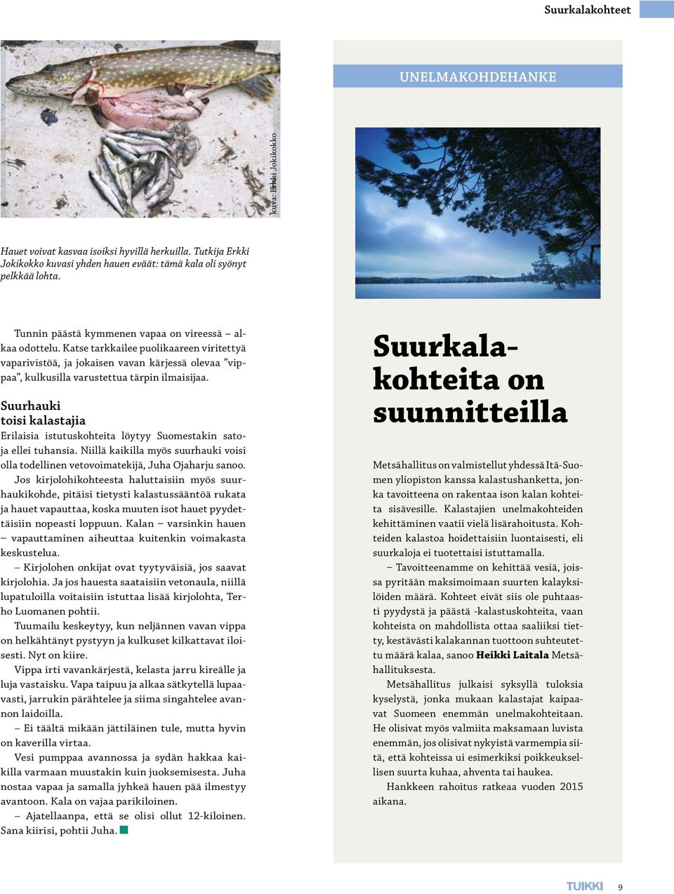 Suurhauki toisi kalastajia Erilaisia istutuskohteita löytyy Suomestakin satoja ellei tuhansia. Niillä kaikilla myös suurhauki voisi olla todellinen vetovoimatekijä, Juha Ojaharju sanoo.