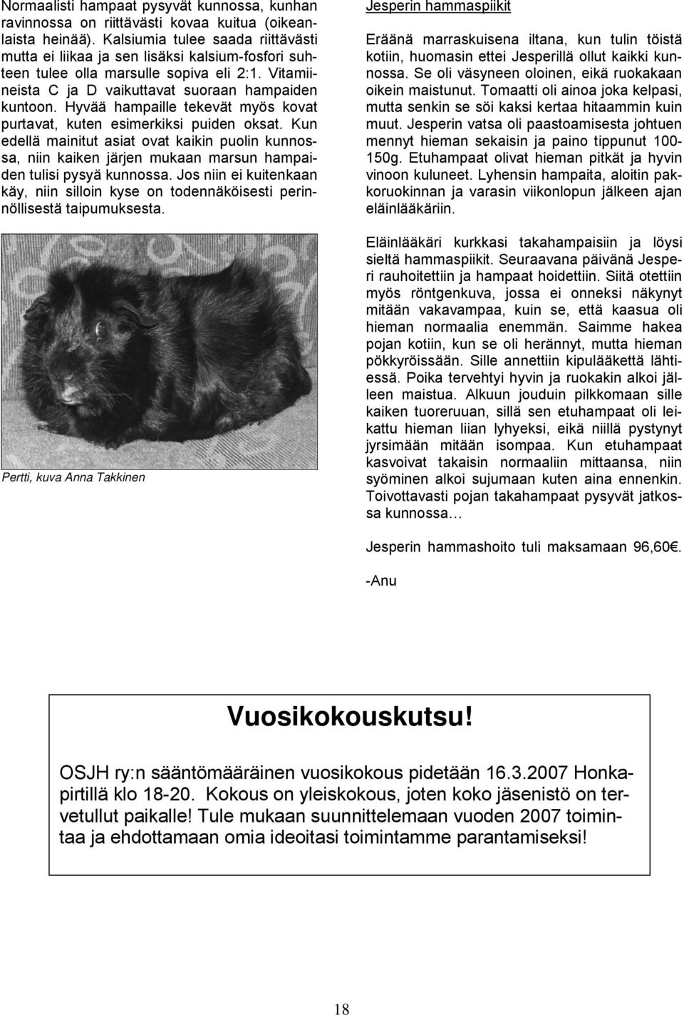 Hyvää hampaille tekevät myös kovat purtavat, kuten esimerkiksi puiden oksat. Kun edellä mainitut asiat ovat kaikin puolin kunnossa, niin kaiken järjen mukaan marsun hampaiden tulisi pysyä kunnossa.