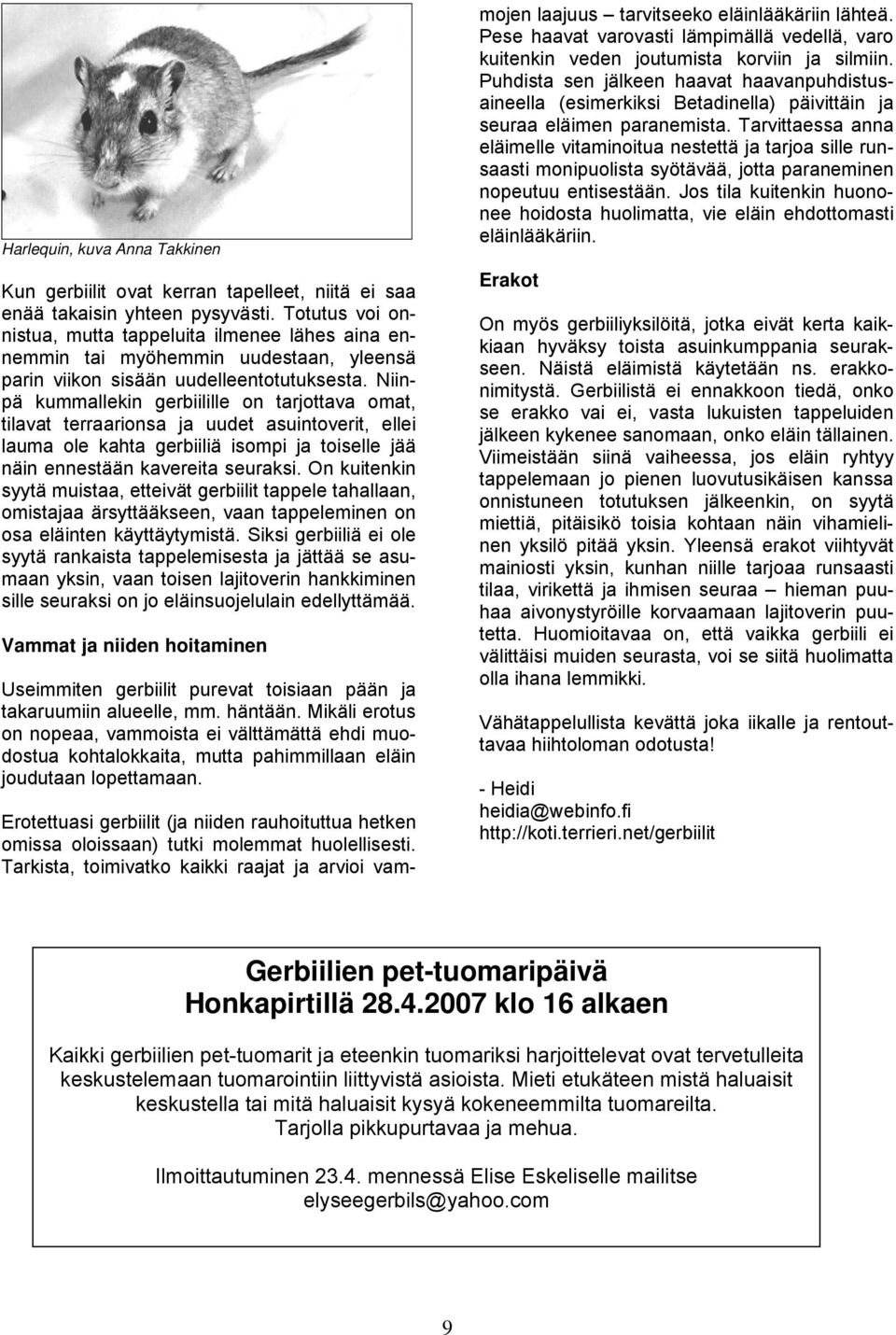 Niinpä kummallekin gerbiilille on tarjottava omat, tilavat terraarionsa ja uudet asuintoverit, ellei lauma ole kahta gerbiiliä isompi ja toiselle jää näin ennestään kavereita seuraksi.